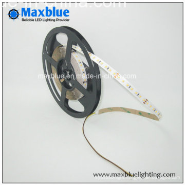 3014 Cct Variant and Dimmable LED Strip Lighting